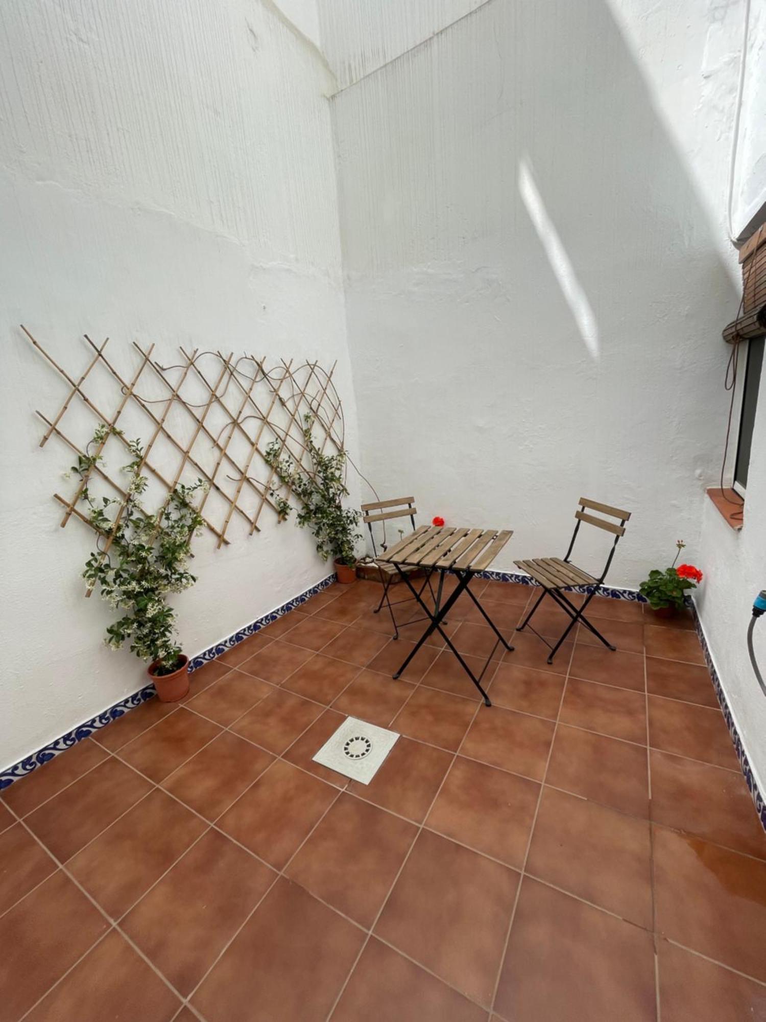 Mini Loft Con Patio En La Alameda De Sevilla